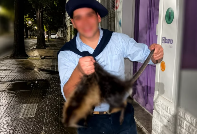Foto
