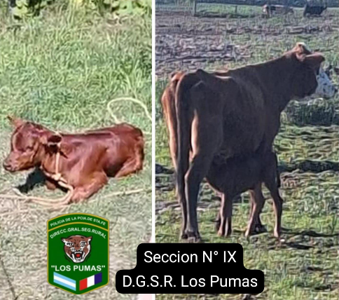 Imagen Noticia