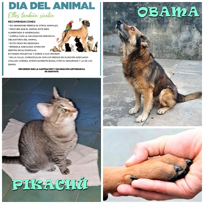 Imagen Noticia